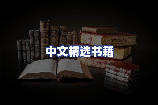 中文精选书籍