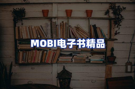 外文电子书产品